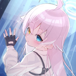 ホシノちゃん