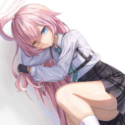 小鳥遊ホシノ