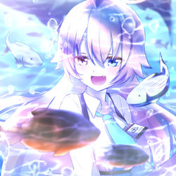 ホシノ🐠✨