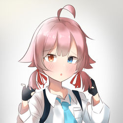 小鳥遊ホシノ