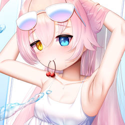 小鳥遊ホシノ