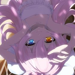 水着ホシノおじさん