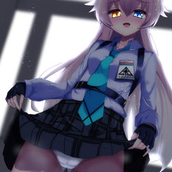 小鳥遊ホシノ