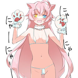 ねこホシノ
