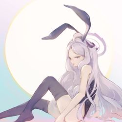 🐰