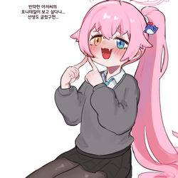 포니테일 호시노