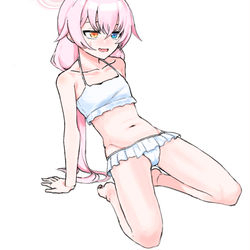 小鳥遊ホシノ