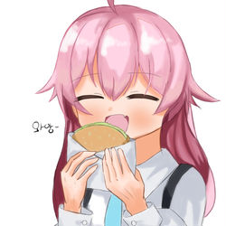 小鳥遊ホシノ