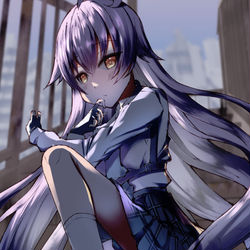 ホシノちゃ