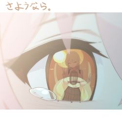 世界でいちばん美しい目 ( ´•̥-•̥` )