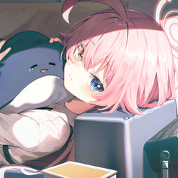 小鳥遊ホシノ