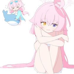 小鳥遊ホシノ