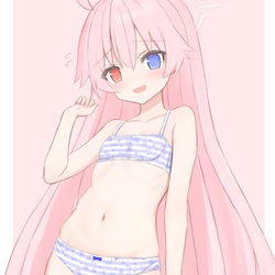 ブルアカ　ホシノ　ぱんつ
