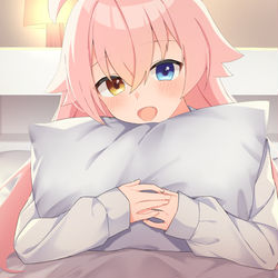 小鳥遊ホシノ