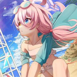 小鳥遊ホシノ
