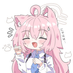 ホシーにゃああ～