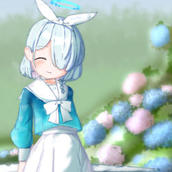 紫陽花とアロナ