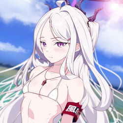 ヒナ マイクロビキニ