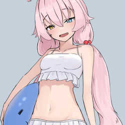 小鳥遊ホシノ