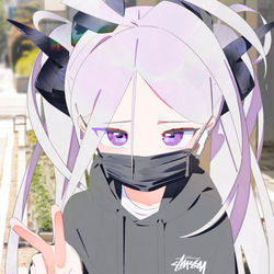 パーカーヒナ