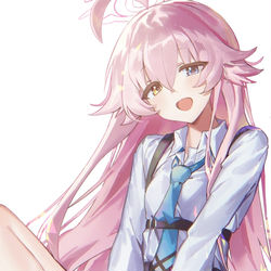 小鳥遊ホシノ