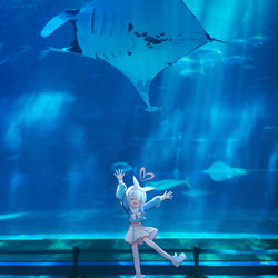 アロナと水族館デート