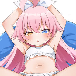 小鳥遊ホシノ