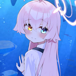 小鳥遊ホシノ🐳