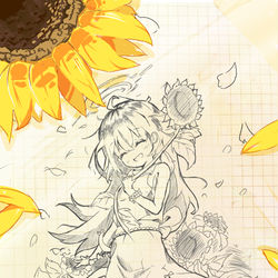 向日葵🌻（终版）
