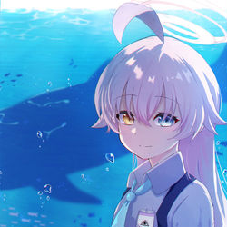 小鳥遊ホシノ