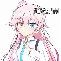 小鳥遊ホシノ