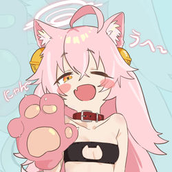 ネコホシノちゃん