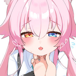 猫ホシノ