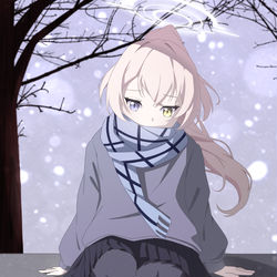 小鳥遊ホシノ