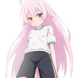 💓ホシノ