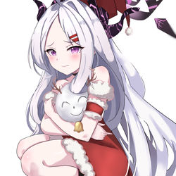 ヒナ * サンタ