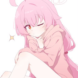 小鳥遊ホシノ