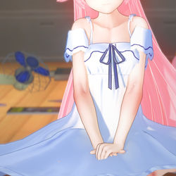 小鳥遊ホシノ 人物卡