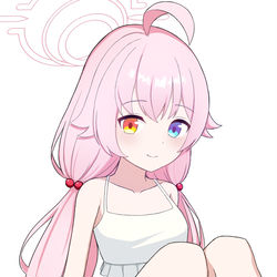 小鳥遊ホシノ(水着)