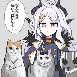 ゲヘナに大量発生する猫