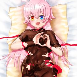 Hoshinos best chocolate gift
