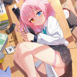小鳥遊ホシノ