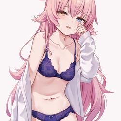 大人ぽいホシノちゃん