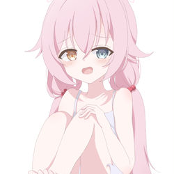 小鳥遊ホシノ