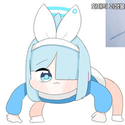 쌀바구미 아로나 근접 포착