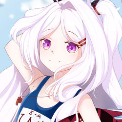 Hina Swimsuit Ver