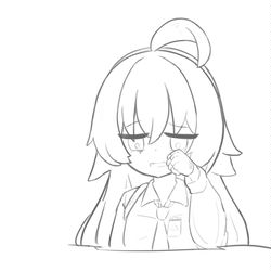 호시노 낙서 / ホシノrkgk