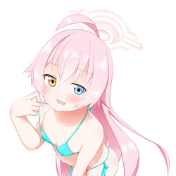 小鳥遊ホシノ ※修正版