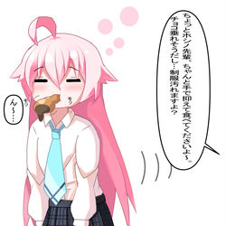 ブルアカのホシノ先輩！