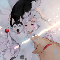 犬
